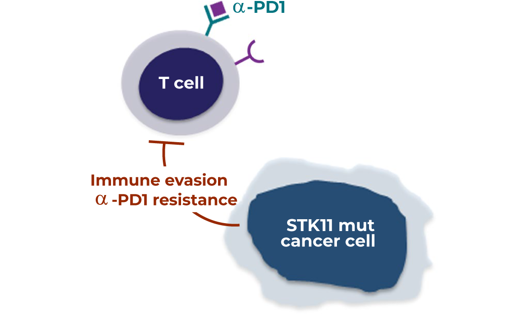 IMMUNE EVASION DRIVEN<br>BY TUMOR SUPPRESSOR GENE LOSS